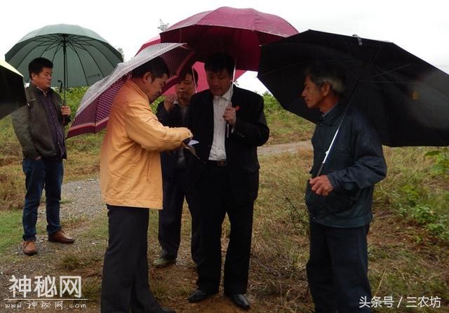 农村这些租地行为是“陷阱”，农民千万别犯糊涂，否则要吃大亏！-1.jpg