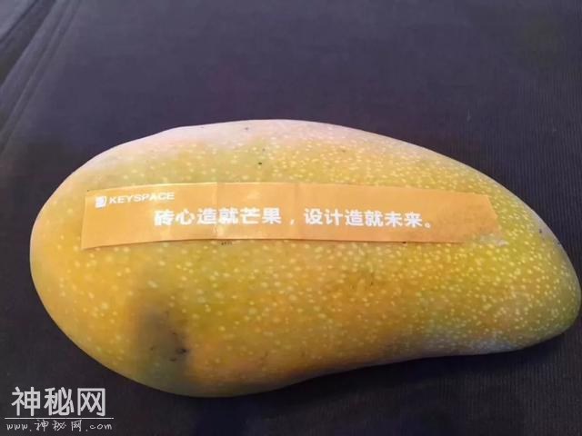 西南启动会完美收官，走永不言败的设计路-35.jpg