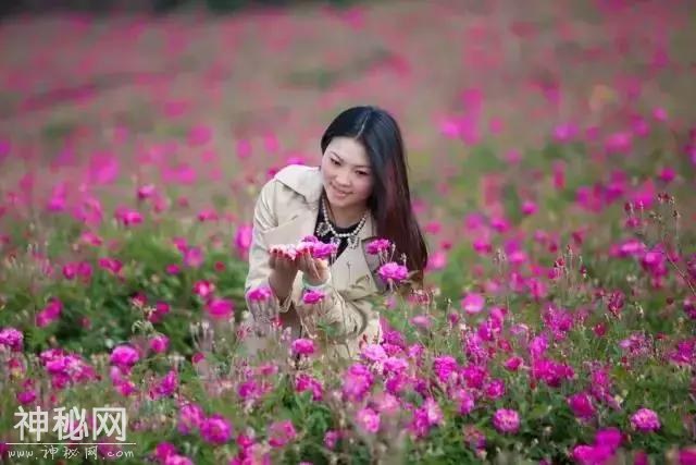 成都向南1小时！竟私藏了一片800亩玫瑰花海，浪漫到哭！-10.jpg