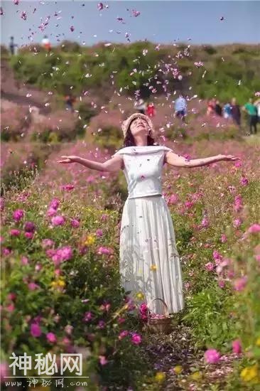 成都向南1小时！竟私藏了一片800亩玫瑰花海，浪漫到哭！-11.jpg