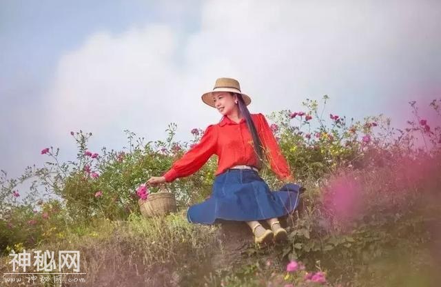 成都向南1小时！竟私藏了一片800亩玫瑰花海，浪漫到哭！-13.jpg