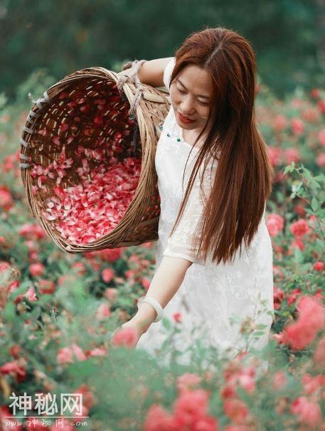 成都向南1小时！竟私藏了一片800亩玫瑰花海，浪漫到哭！-19.jpg