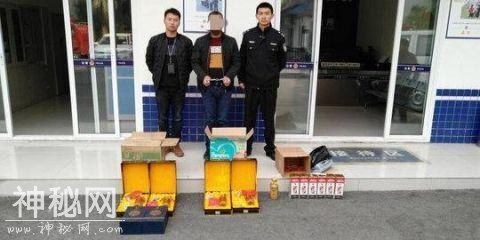 男子偷价值约十万白酒被刑拘 只为放在家中撑面子-1.jpg