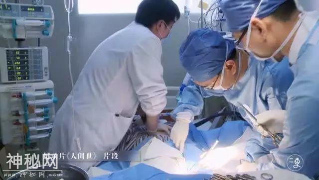你为什么学医？她说：学医，救得了中国人-11.jpg