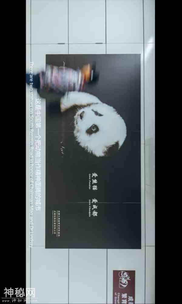 关于成都的电影为什么那么少？-35.jpg