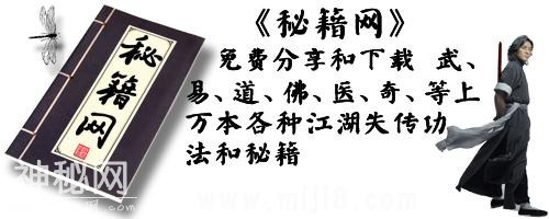现代霍家独门传统武术绝技的燕青拳、秘宗拳、迷踪拳功夫秘籍7本-8.jpg