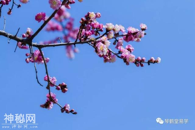 清明节后农历三月道教宜忌大全-3.jpg
