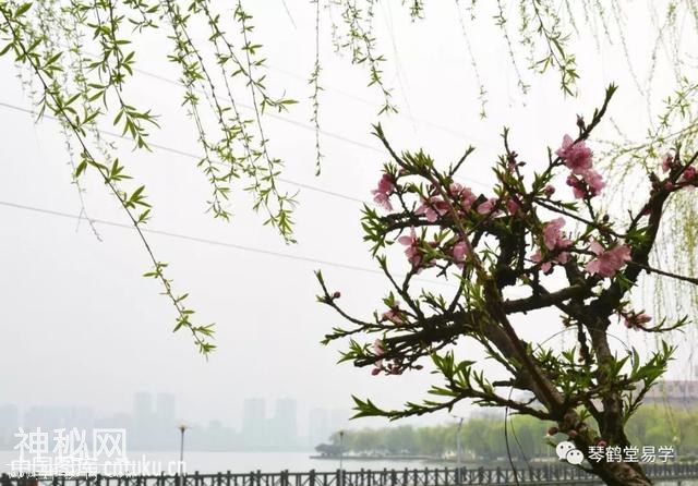 清明节后农历三月道教宜忌大全-5.jpg