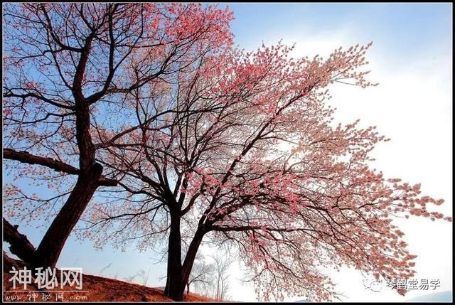 清明节后农历三月道教宜忌大全-6.jpg