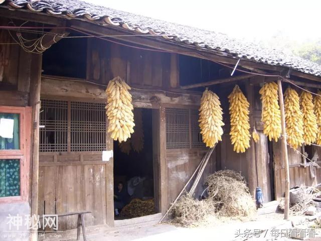 利川公布第一批历史建筑名单，大多为清朝时期所建…-24.jpg