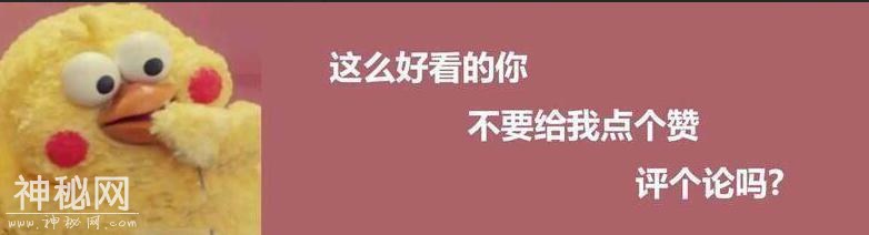 搞笑段子：“老师，您不是说要我们撕下来问您吗？”-6.jpg