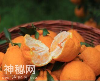 青分享｜愚人节打车小惊喜：你可能会一不小心被蒲江丑柑甜到！-4.jpg