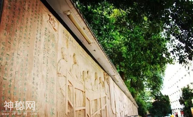 青关注｜蒲江即将要开拍一部大电影，这个地方真的要火了！-6.jpg