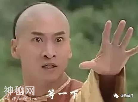 青关注｜蒲江即将要开拍一部大电影，这个地方真的要火了！-10.jpg