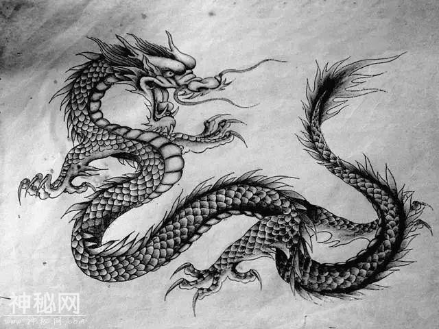 世上到底有没有龙？为什么现代人看不到龙？-4.jpg
