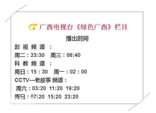 大明山歌圩4月场圆满落幕，多彩民俗嗨翻天！-13.jpg