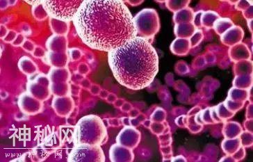 活久见！新发现的巨大病毒，正刷新我们对微生物的认知……-3.jpg
