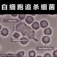活久见！新发现的巨大病毒，正刷新我们对微生物的认知……-8.jpg