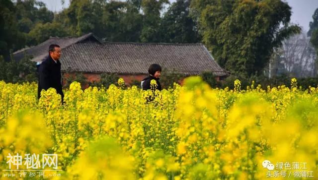 真相来了，为什么许多人都想在这里找个亲戚？-19.jpg