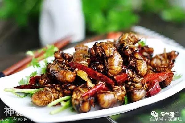 真相来了，为什么许多人都想在这里找个亲戚？-32.jpg