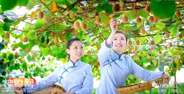 真相来了，为什么许多人都想在这里找个亲戚？-35.jpg