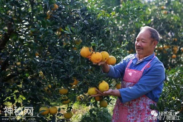 真相来了，为什么许多人都想在这里找个亲戚？-34.jpg