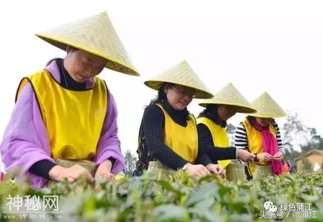 真相来了，为什么许多人都想在这里找个亲戚？-22.jpg