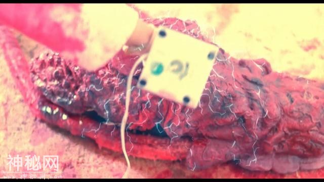 30年前港片就开始玩触手系了 当年的电影尺度真是太大了-8.jpg