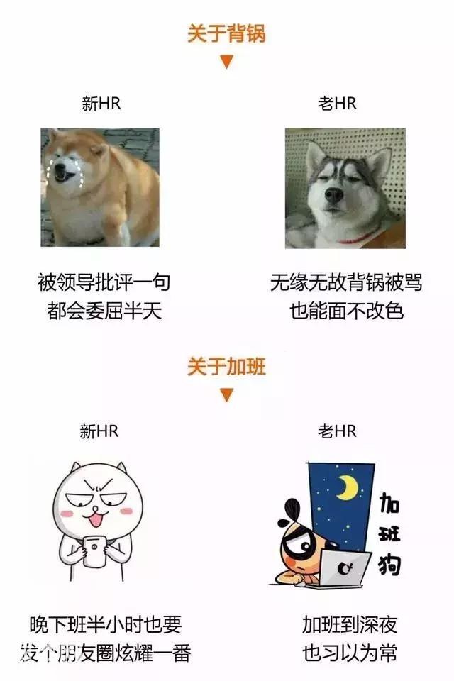 刚入行的HR VS 三年以上的HR-8.jpg