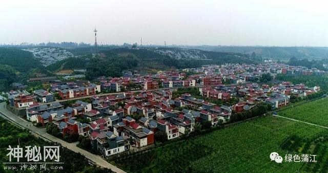 我就不明白，蒲江到底什么好？直到，在这里有了个亲戚……-5.jpg