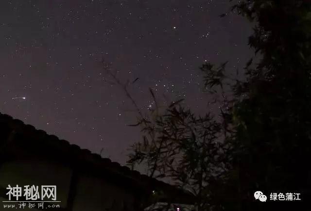 我就不明白，蒲江到底什么好？直到，在这里有了个亲戚……-11.jpg