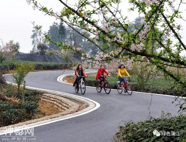我就不明白，蒲江到底什么好？直到，在这里有了个亲戚……-20.jpg