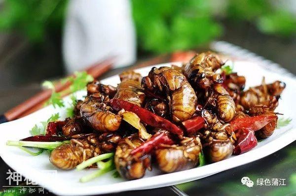 我就不明白，蒲江到底什么好？直到，在这里有了个亲戚……-22.jpg