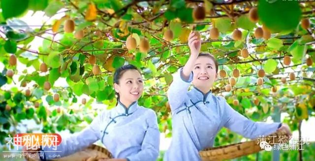 我就不明白，蒲江到底什么好？直到，在这里有了个亲戚……-24.jpg