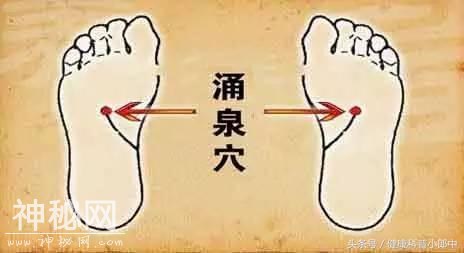 泡脚可以养肾，记住这几个技巧和方法，养生效果最佳-3.jpg