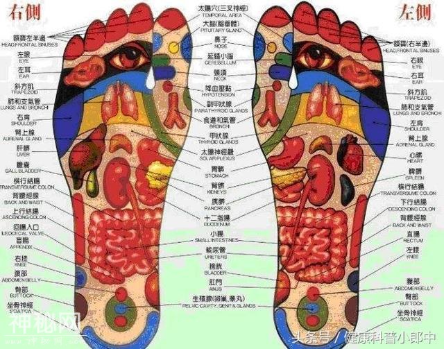 泡脚可以养肾，记住这几个技巧和方法，养生效果最佳-2.jpg