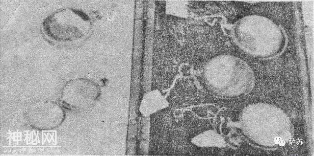 独家揭秘光绪陵打开瞬间：遗体断脚，陪葬寒碜，皇后出现灵异事件-5.jpg