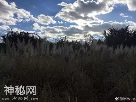 无法想象地球没有了云会怎样，刚好有云天空才变得可爱起来啊-13.jpg