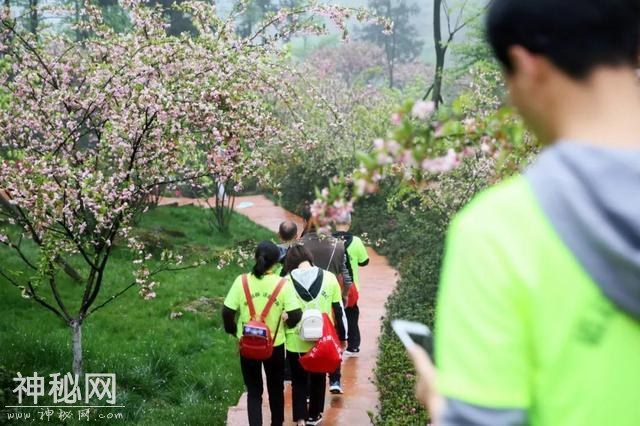 踏青赏花放纸鸢，花溪最美四月天！-15.jpg