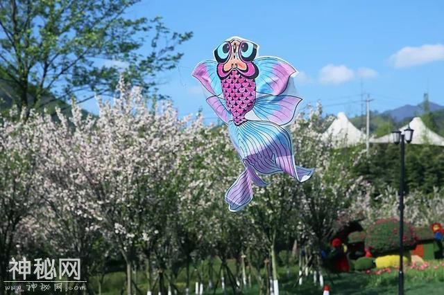 踏青赏花放纸鸢，花溪最美四月天！-20.jpg