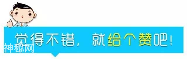 微提醒｜春天肝火旺，这位中医的4款汤饮和菜品帮您来降火！-11.jpg