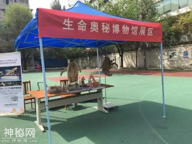 青羊区第二十三届“科技之春”科普月重点活动——成都市树德实验中学（东区）第八届科技节隆重开幕！-15.jpg