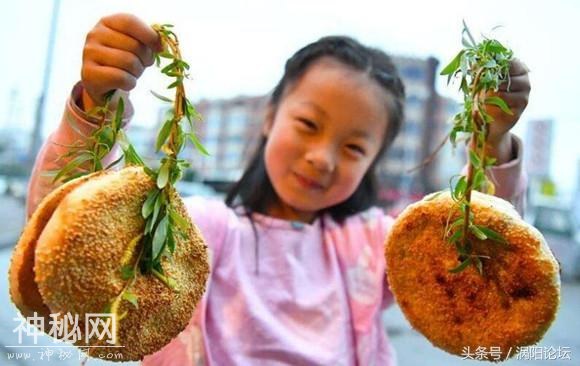 亳州清明风俗“柳条穿烧饼”，你家今年还有吗？-4.jpg
