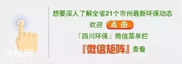 一图一故事丨全域治水兴水 重现南河美景-8.jpg