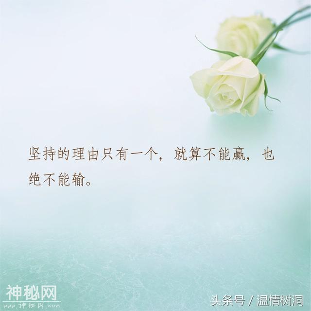 五句深夜毒鸡汤，总有人要赢，为什么不是我？-3.jpg