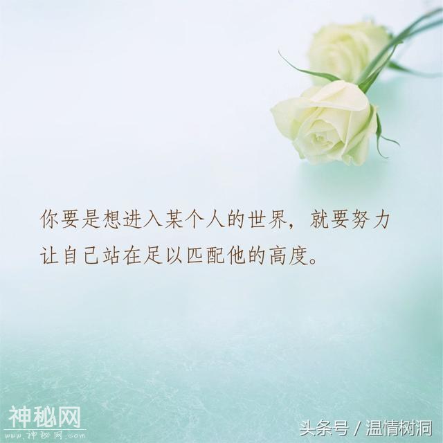 五句深夜毒鸡汤，总有人要赢，为什么不是我？-2.jpg