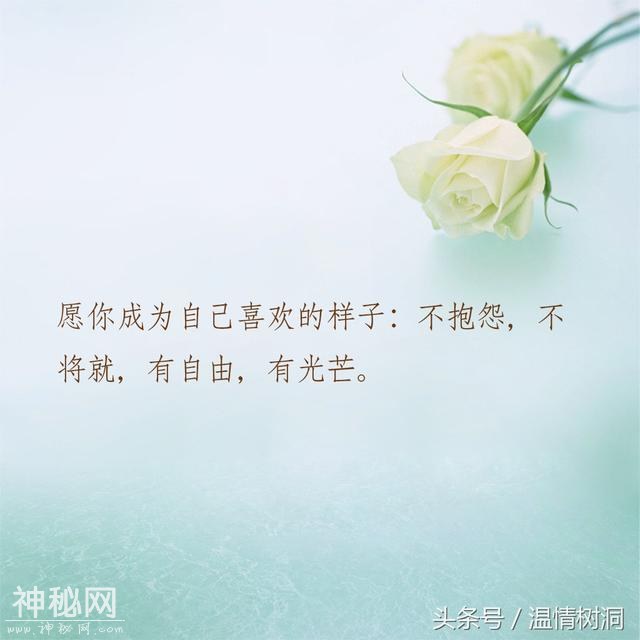 五句深夜毒鸡汤，总有人要赢，为什么不是我？-5.jpg