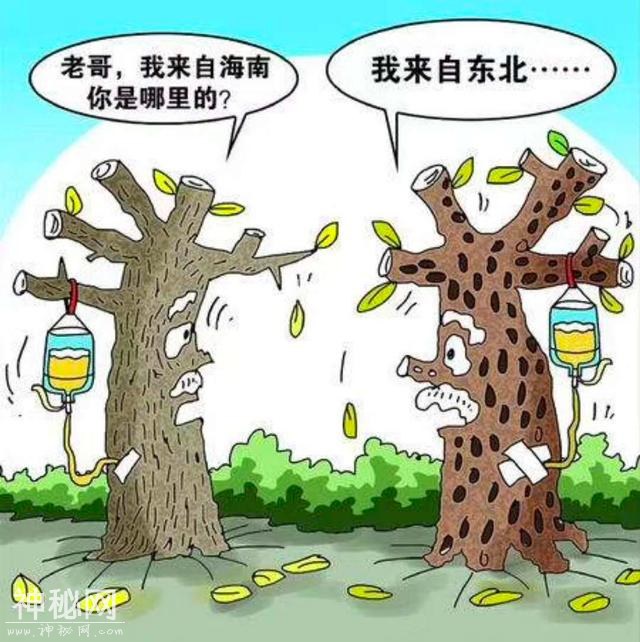 益生菌专题拓展-水土不服是怎么回事？-1.jpg