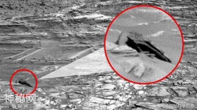 科学家称宇宙中遍布外星人，人类未来将与外星人共同生活-3.jpg