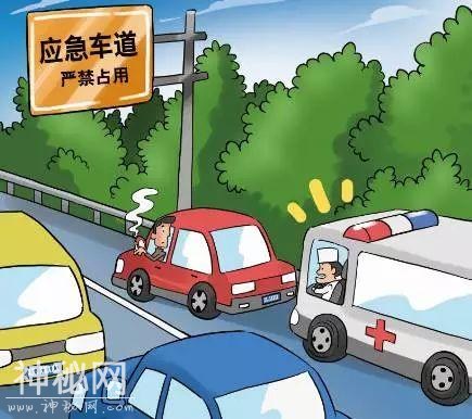 举报有奖！从今起，高速路上7种交通违法行为接受举报！-1.jpg